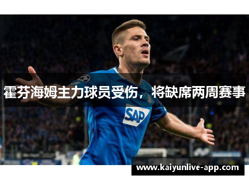 霍芬海姆主力球员受伤，将缺席两周赛事