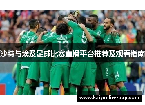 沙特与埃及足球比赛直播平台推荐及观看指南
