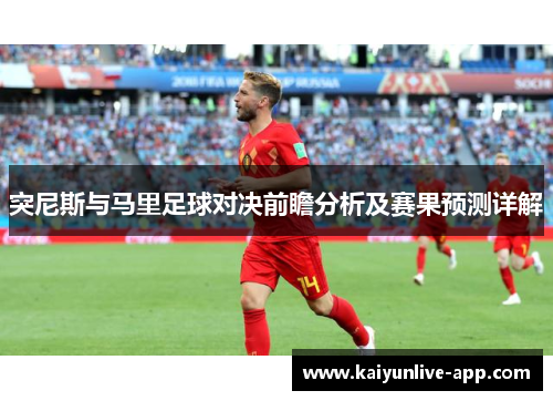 突尼斯与马里足球对决前瞻分析及赛果预测详解