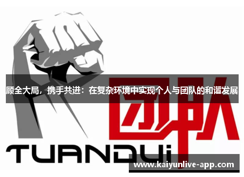 顾全大局，携手共进：在复杂环境中实现个人与团队的和谐发展
